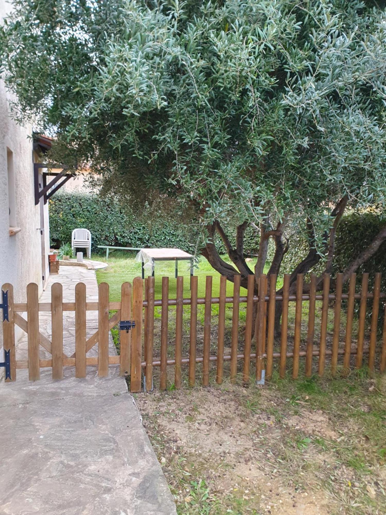 Appartement T2 Bas De Villa Avec Jardinet Au Calme Proche Mer La Seyne-sur-Mer Eksteriør billede